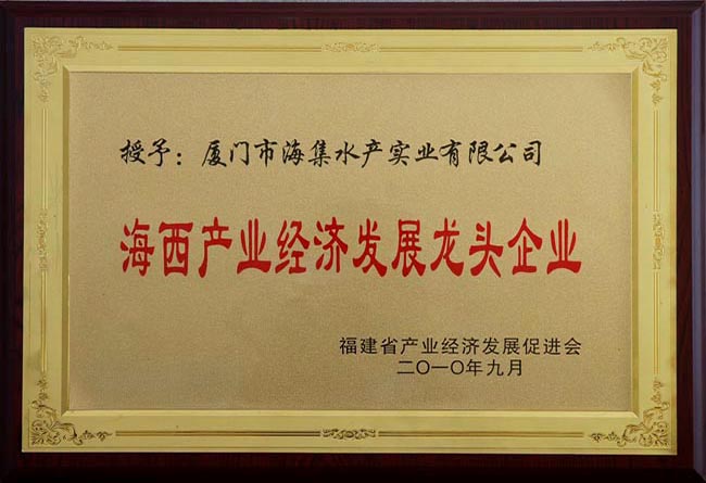 海西产业经济发展龙头企业
