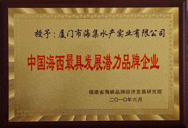中国海西最具发展潜力品牌企业