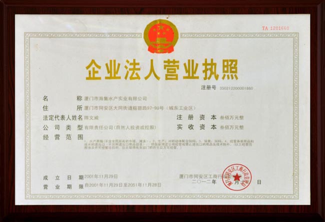 企业营业执照